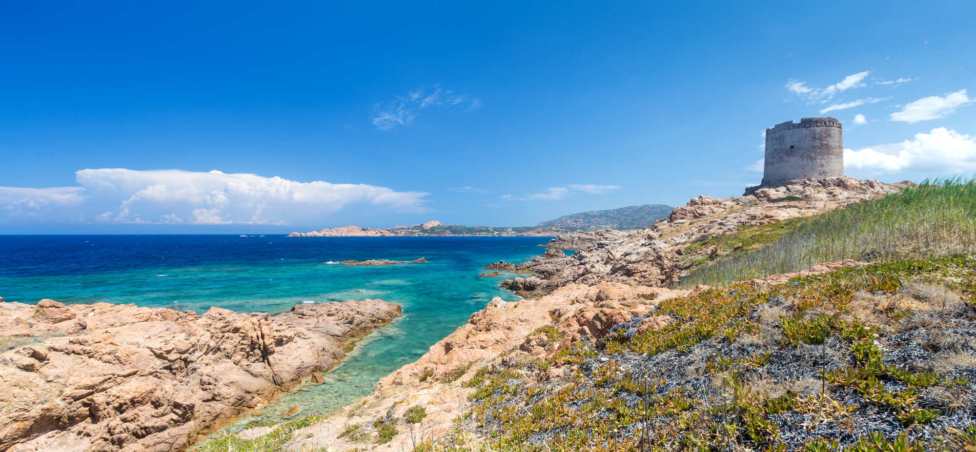 Il Parco Nazionale dell'Asinara – La Tua Italia
